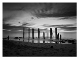Misty Trees, KangarillaPort Willunga